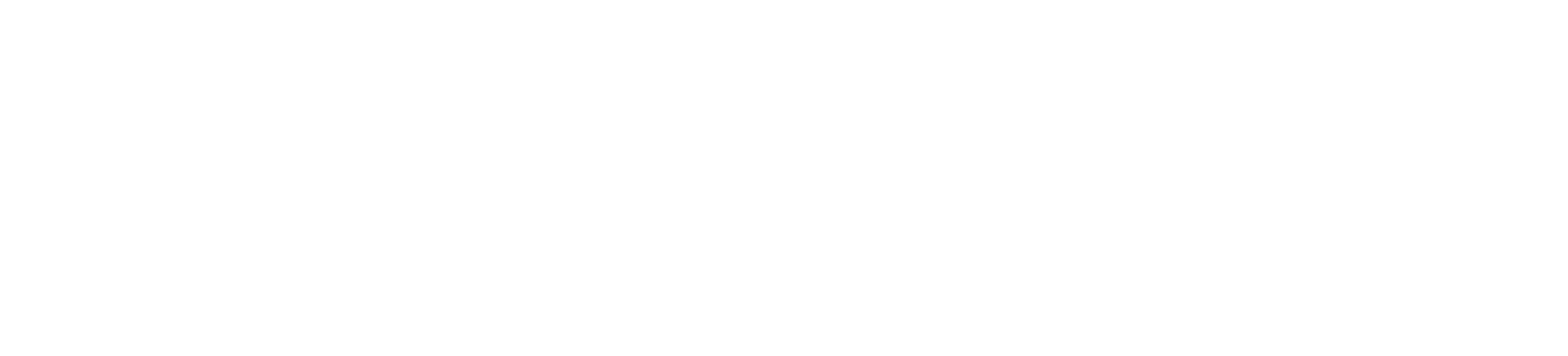 Company White Logo